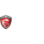 MSI logo